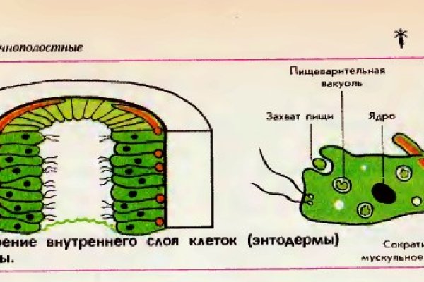 Kraken маркетплейс kr2web in