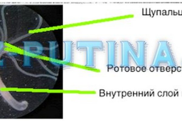 Кракен даркнет вход