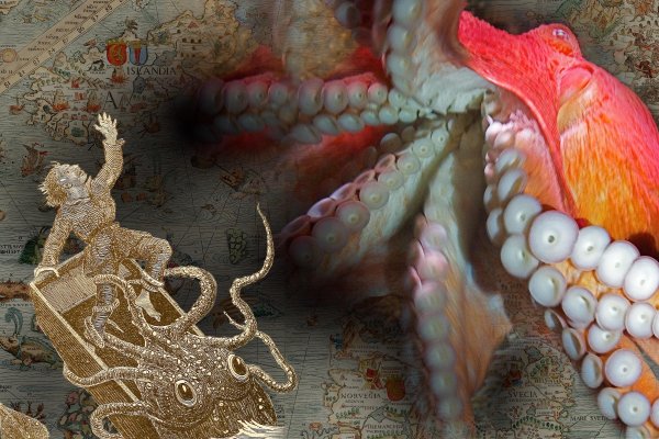 Kraken 26 at