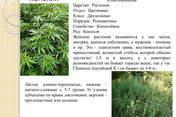 Kraken пользователь не найден при входе