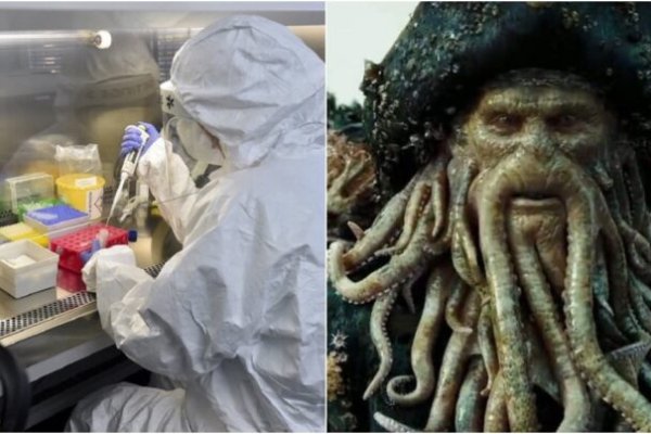 Kraken смылка