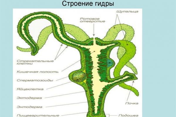 Впн для кракена